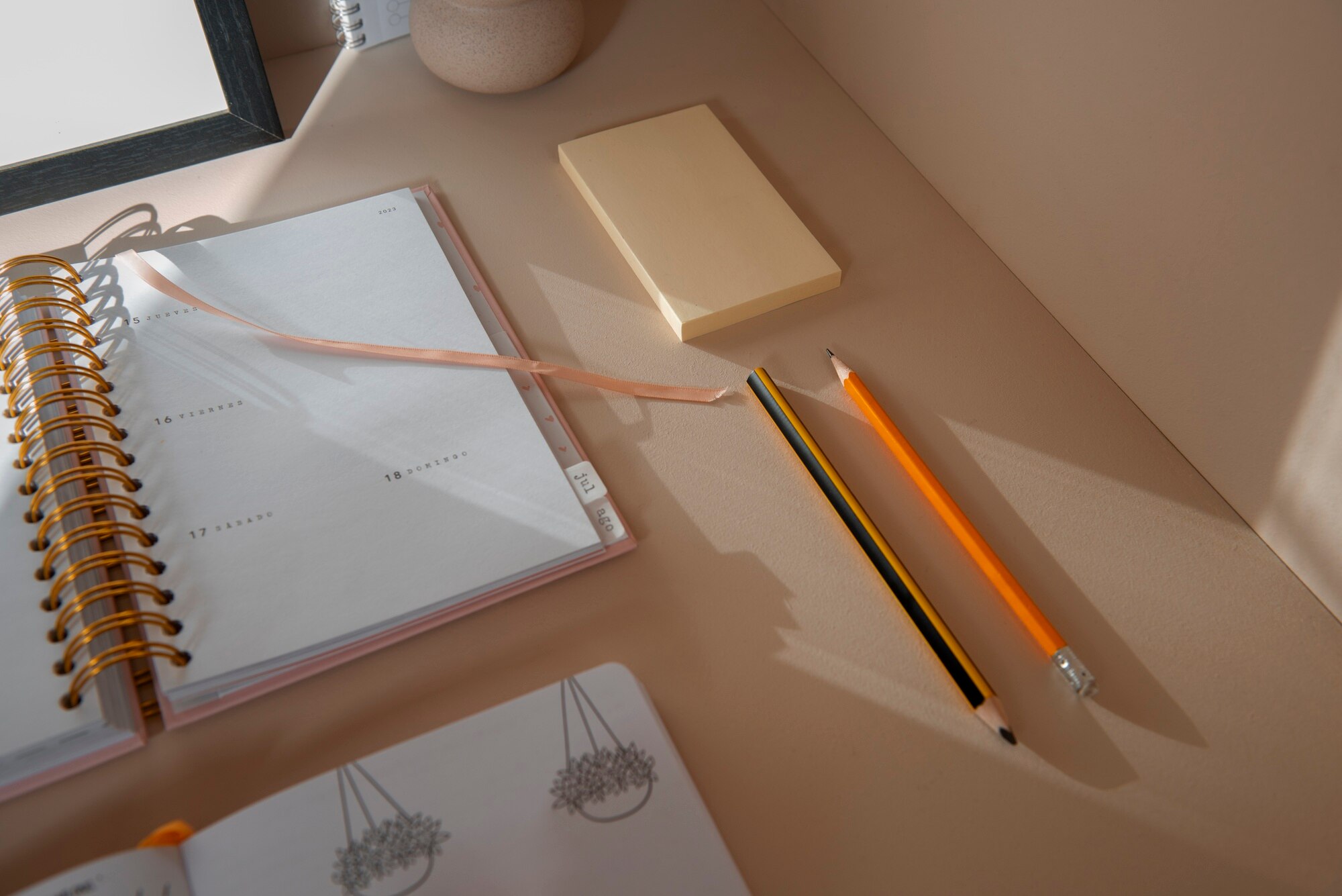Detalle de estudio